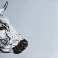 Orphée - Acrylique sur toile - 40 x 80 cm - 2019<br><br>Peinture vache . vache vosgienne . toile . peinture animalière . peintre animalier . race vosgienne