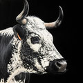 Bratzala - Acrylique sur toile - 50 x 50 cm - 2025<br><br>Peinture vache . vache vosgienne . toile . peinture animalière . peintre animalier . race vosgienne