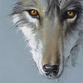 Le Dernier Loup - Acrylique et crayon pastel sur papier gris bleu acier - 50 x 70 cm - 2015<br><br>Peinture . peintre animalier . artiste peintre . peinture animalière . animal . dessin loup