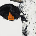 Blanche - Acrylique sur toile - 30 x 60 cm - 2022<br><br>Peinture vache . vache vosgienne . toile . peinture animalière . peintre animalier . race vosgienne . 