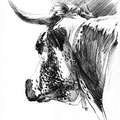 Sans titre - Crayon noir sur papier 40 x 30 cm - 2019<br><br> dessin vache . vache vosgienne . dessin animalier . peintre animalier . race vosgienne