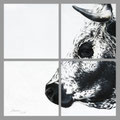 Quadriptyque - Acrylique sur toile - 4 x 20 x 20 cm - 2019<br><br>Peinture vache . vache vosgienne . toile . peinture animalière . peintre animalier . race vosgienne