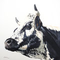 Jonquille - Acrylique sur toile - 60 x 60 cm - 2019<br><br>Peinture vache . vache vosgienne . toile . peinture animalière . peintre animalier . race vosgienne