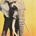 Le Patriarche - Acrylique sur toile - 1 x 1 m - 2008 <br><br>Peinture . peintre animalier . artiste peintre . peinture animalière . animal . elephant . afrique