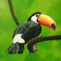 Toucan - Acrylique sur toile - 60 x 60 cm - 2017<br><br>Peinture . peintre animalier . artiste peintre . peinture animalière . animal . oiseau exotique