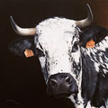 HeÏdi - Acrylique sur toile - 60 x 60 cm - 2022<br><br>Peinture vache . dessin vache . vache vosgienne . toile . peinture animalière . peintre animalier . race vosgienne