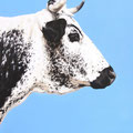 Edelweiss - Acrylique sur toile - 60 x 80 cm - 2006<br><br>Peinture vache . dessin vache . vache vosgienne . toile . peinture animalière . peintre animalier . race vosgienne