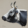 Divine - Acrylique sur toile - 50 x 50 cm - 2021<br><br>Peinture vache . vache vosgienne . toile . peinture animalière . peintre animalier . race vosgienne