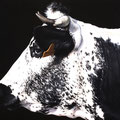 Neige - Acrylique sur toile - 80 x 60 cm - 2005<br><br>Peinture vache . dessin vache . vache vosgienne . toile . peinture animalière . peintre animalier . race vosgienne