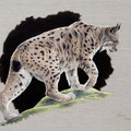 Le fantôme aux pas de velours - Acrylique sur toile - 55 x 46 cm - 2025<br><br>Peinture . peintre animalier . artiste peintre . peinture animalière . animal . lynx boréal