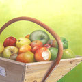 Les tentations d'Adam - Acrylique sur toile - 55 x 46 cm - 2007<br><br>Peinture . artiste peintre . pomme . fruit . nature morte . trompe l'oeil