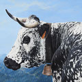 Heïdi - Acrylique sur toile - 70 x 50 cm - 2021<br><br>Peinture vache . vache vosgienne . toile . peinture animalière . peintre animalier . race vosgienne