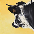 Eclipse - Acrylique sur toile - 50 x 50 cm - 2010<br><br>Peinture vache . dessin vache . vache vosgienne . toile . peinture animalière . peintre animalier . race vosgienne