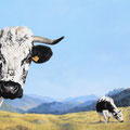 Le Bonheur est sur les Chaumes - Acrylique sur toile - 80 x 60 cm - 2007<br><br>Peinture vache . dessin vache . vache vosgienne . toile . peinture animalière . peintre animalier . race vosgienne