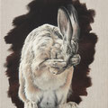 Vous me faites honte - Acrylique sur toile - 38 x 46 cm - 2023<br><br>Peinture . peintre animalier . artiste peintre . peinture animalière . animal . lièvre