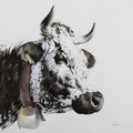 Vosgienne N°1704 - Encre couleur réhaussée de crayon noir sur papier gris- 60 x 60 cm - 2017<br><br>Peinture vache . vache vosgienne . toile . peinture animalière . peintre animalier . race vosgienne