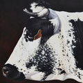 Malice - Acrylique sur toile - 40 x 40 cm - 2011<br><br>Peinture vache . dessin vache . vache vosgienne . toile . peinture animalière . peintre animalier . race vosgienne