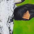 Émeraude - Acrylique sur toile - 40 x 100 cm - 2019<br><br>Peinture vache . vache vosgienne . toile . peinture animalière . peintre animalier . race vosgienne