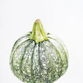Courge - Acrylique sur toile - 24 x 30 cm - 2006<br><br>Peinture . artiste peintre . nature morte . trompe l'oeil