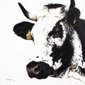 Lilas - Acrylique sur toile - 60 x 60 cm - 2013<br><br>Peinture vache . vache vosgienne . toile . peinture animalière . peintre animalier . race vosgienne
