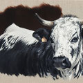 Houpe - Acrylique sur toile écrue - 60 x 40 cm - 2024<br><br>Peinture vache . vache vosgienne . toile . peinture animalière . peintre animalier . race vosgienne