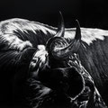 De neige et d'ébène - Crayon noir sur papier - 57 x 37 cm - 2023<br><br>Peinture vache . dessin vache . vache vosgienne . toile . peinture animalière . peintre animalier . race vosgienne