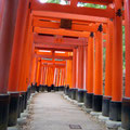 More red torii gates at Fushimi-inari Jinja