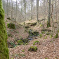 bronbeekbos