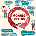 Monatszyklus (Aufklärungs-Lehrmaterial)