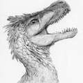 Raptor Red / 2022 / Ballpoint pen