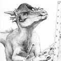 Pennellata / 2023 / Ballpoint pen