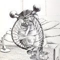 Anomalocaris : Forma delle Divinità / 2022 / Ballpoint pen