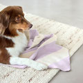 Hund mit Hundedecke Ida von Palopa