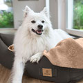 Weisser Hund im Hundebett von Palopa