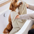 Hund mit Hundehand- & Pfotentuch von Palopa/LÄSSIG