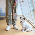 Jack Russel mit Frauchens Leckerlitasche von Palopa