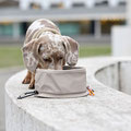 Hund schlabbert am Hundenapf Tura von Palopa