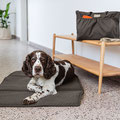 Hundeorganizer Jari griffbereit neben einer Hundematte auf einer Reise – von PALOPA