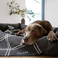 Hundebett Fred Baumwolle Palopa LÄSSIG