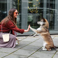 Hundebesitzer trägt den Snack Bag Karl per Schultergurt beim Training mit dem Hund.