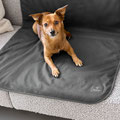 Stilvoller Möbelschutz: Hund entspannt auf der Benti Schutzmatte auf einem Wohnzimmersofa.