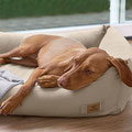 Hundebett Fred PALOPA - LÄSSIG