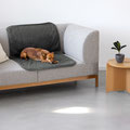 Stilvoller Möbelschutz: Hund entspannt auf der Benti Schutzmatte auf einem Wohnzimmersofa.
