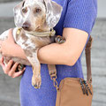 Hundebesitzer nutzt die nachhaltige Gassi Tasche Greta beim Spaziergang im Freien (Trageweise als Crossbody-Bag).