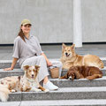 Frau beim Ausführen von drei Hunden