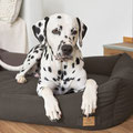 Hundebett Fred Baumwolle Palopa LÄSSIG