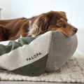 Hund im Hundebett mit Hundedecke Ida von Palopa