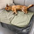 Stilvoller Möbelschutz: Hund entspannt auf der Benti Schutzmatte auf einem Wohnzimmersofa.