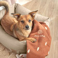 Hundebett Fred PALOPA - LÄSSIG