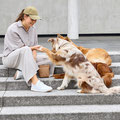 Hund gibt Frauchen sein Pfötchen 